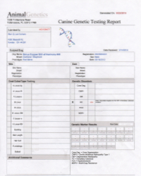 Jimmy GCH Sirius Copper Still of Harmony Hill hc test